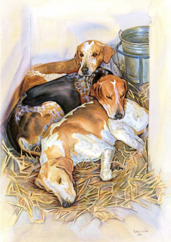 Christmas Card | Foxhounds